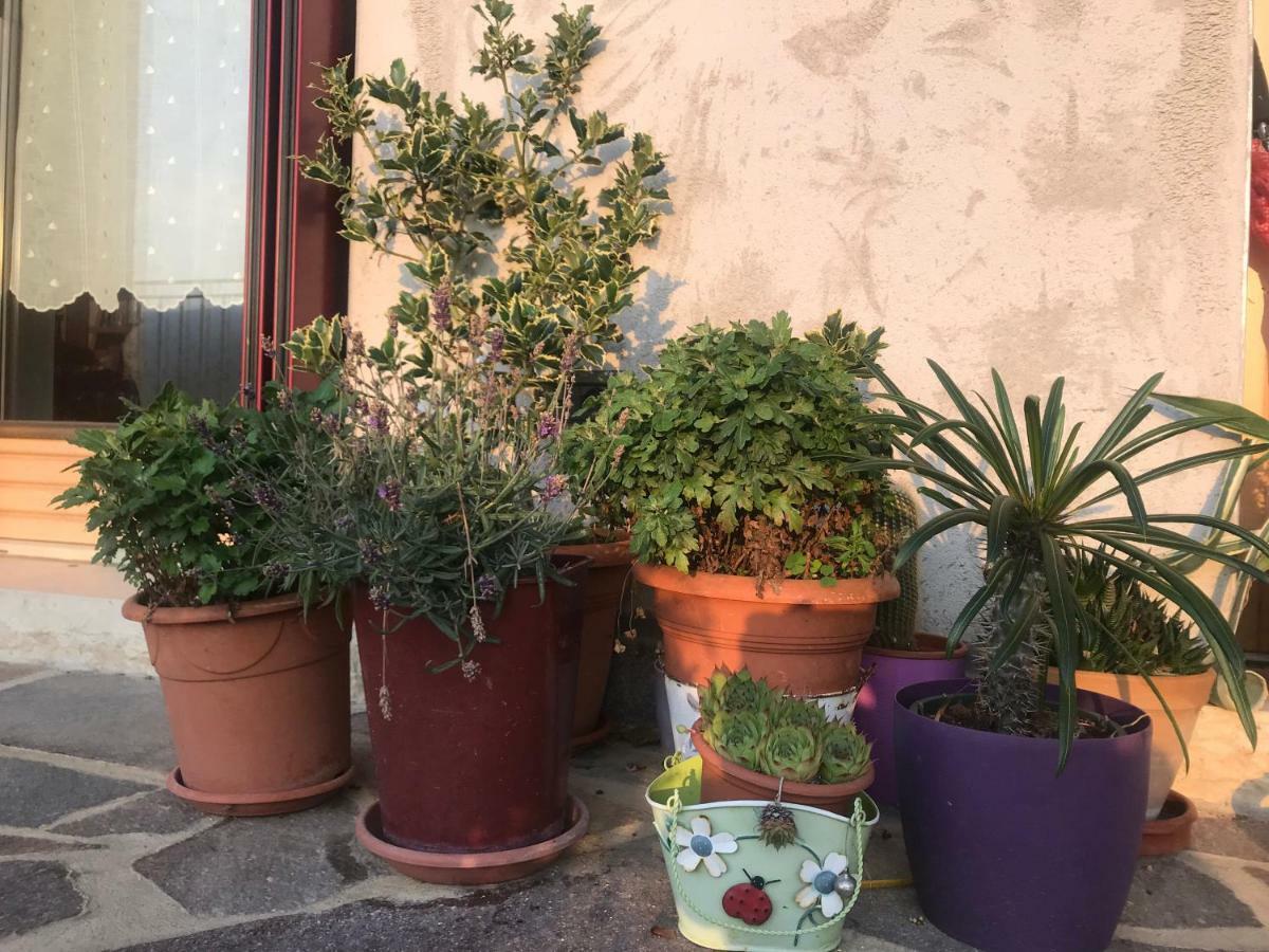 Puffele B&B Enego Extérieur photo